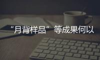 “月背样品”等成果何以入选�？专家解读“中国科学十大进展”