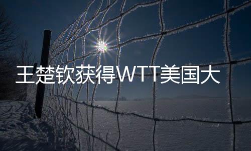 王楚钦对阵张本智和