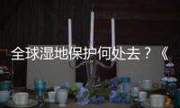 全球湿地保护何处去
？《湿地公约》科技委员会主席这么说