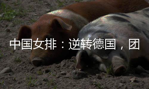 关键取得本站赛事三连胜