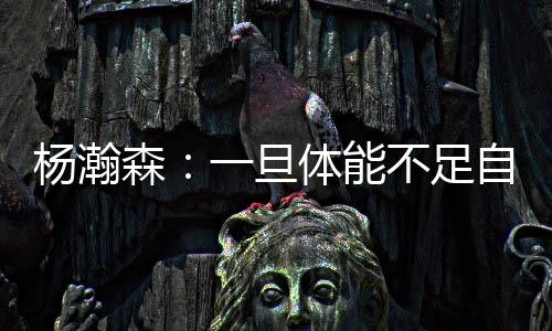 开拓者86-96不敌灰熊
