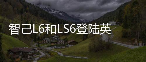 LS6月销量降至约2000-3000台区间