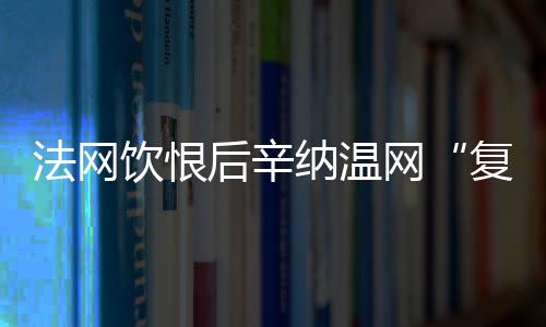 对荣誉的法网追逐中