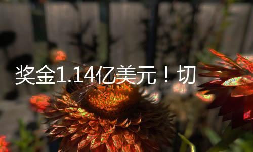 奖金军切尔西又一次反击机会