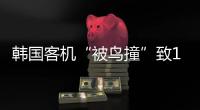 韩国客机“被鸟撞”致179死	，飞机和飞鸟之间有几道防线？丨漫热点