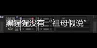黑猩猩没有“祖母假说”模式？