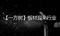 【一方树】板材迎来行业大咖，共谋发展新篇章