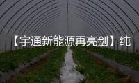 【宇通新能源再亮剑】纯电动港口轮胎起重机即将闪耀天津航运展
！
