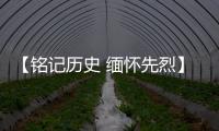 【铭记历史 缅怀先烈】广东博罗：传承抗战精神 加快推动高质量发展