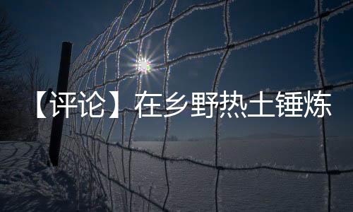 评论以实际行动响应号召