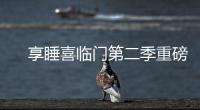 快排公司十年历程，霸屏兔 seo 的崛起与坚守