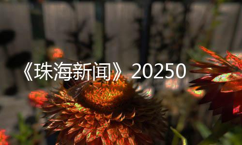 珠海新闻苦瓜网