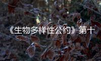《生物多样性公约》第十五次缔约方大会取得三大重要成果