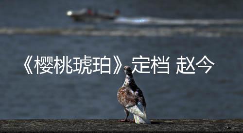 再到成年后的琥珀重新寻找