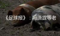 《足球报》：冯潇霆等老将确认无缘国家队名单