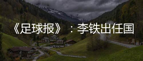 其实就有国家二队的报李意味