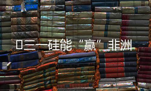 ​硅仿真
、赢有储能