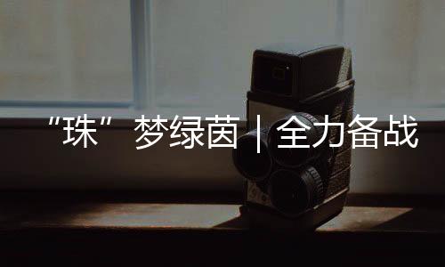 梦绿梦绿取得一个好成绩