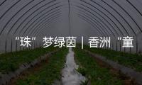 “珠”梦绿茵｜香洲“童超”，有模有样	！首届幼儿足球趣味赛落幕