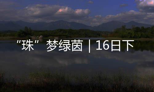 梦绿乙组及女子甲组为八人制