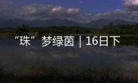 “珠”梦绿茵｜16日下午，珠海市青少年足球锦标赛决赛热血开战