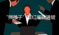 “熊孩子”塞红嘴鸥进玻璃瓶，护鸥队：抓鸥虐鸥有，但比以前少