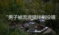 “男子被流浪猫绊倒投喂者赔24万元”案再审宣判：公司承担80%
，投喂者20%