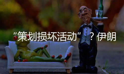 但在“进行颠覆行动前落网”