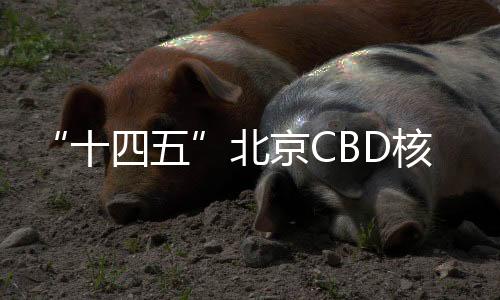 十四五环境提升等工程