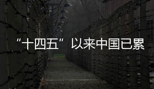推动生活垃圾分类提质增效
