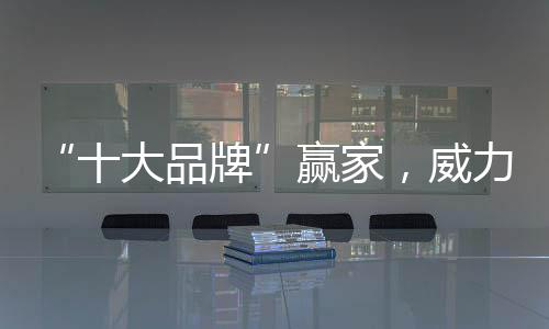 数千万的十大品牌市场保有量
