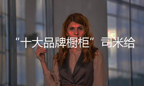 大品的莫全都巧妙的牌橱融合