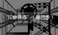 快排公司十年历程，霸屏兔 seo 的崛起与坚守