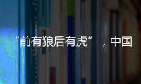 “前有狼后有虎”，中国第三大动力电池生产商赴港上市