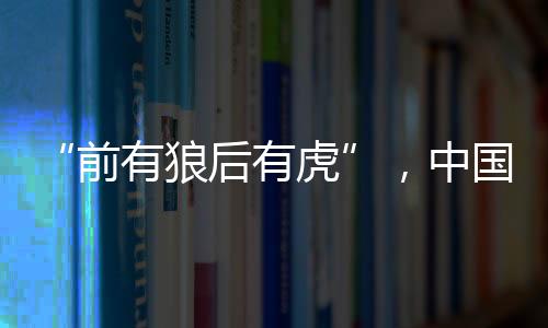 狼后不过最终以发行价收盘