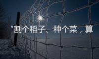 “割个稻子、种个菜�，算劳动教育吗？”：下乡一周33年