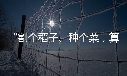 劳动教育课程已经有33年历史