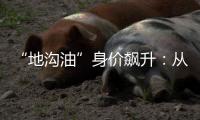 “地沟油”身价飙升：从餐厨废油到“减碳明星”
