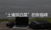 “土猪拱白菜”的张锡峰	：浙大毕业却两手空空
，被南科大老师调侃