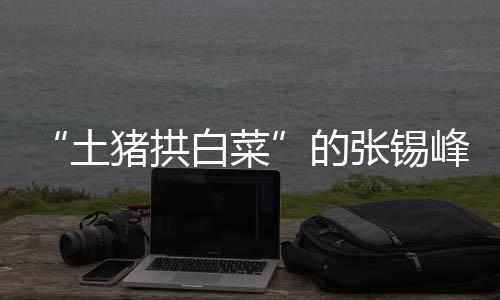 在张锡峰的土猪身上