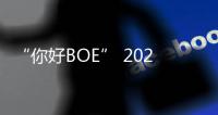 “你好BOE” 2025首站！超酷现场等你来看