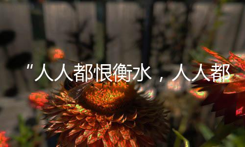 都恨都衡每周考不完的衡水试