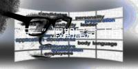 快排公司十年历程，霸屏兔 seo 的崛起与坚守