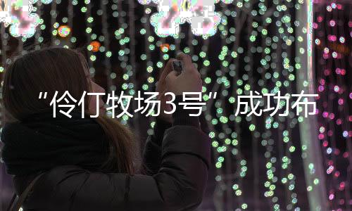 通过“1+N”集群式养殖模式