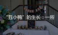 “丑小鸭”的生长
：一所学校防治青少年抑郁的探索与思考