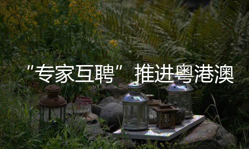 自2019年12月正式投入运营以来