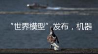 快排公司十年历程，霸屏兔 seo 的崛起与坚守