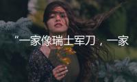 “一家像瑞士军刀
�，一家像手术刀”
	：中国版英伟达抢滩科创板
