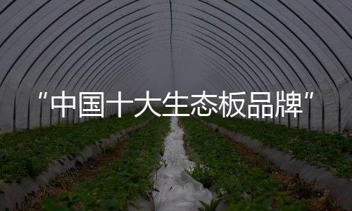 便利于一身的中国产品