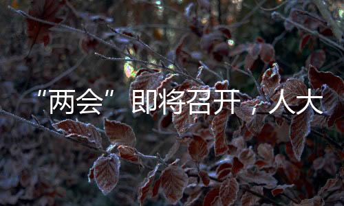 忙件公正司法等情况